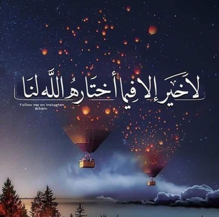 ammr's tweet photo. لا خير الا فيما اختاره الله لنا https://t.co/mHGythXP2I