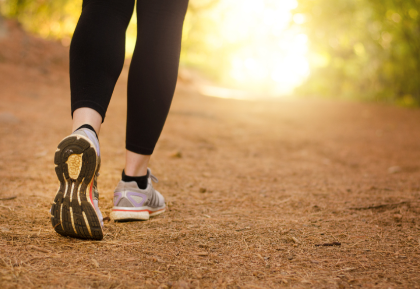 OrthogenRx's tweet photo. Can walking for exercise help prevent pain in individuals with knee osteoarthritis?
Read here to find out: https://t.co/aBNS7Rpuv7 https://t.co/w1ZAnK3CYR