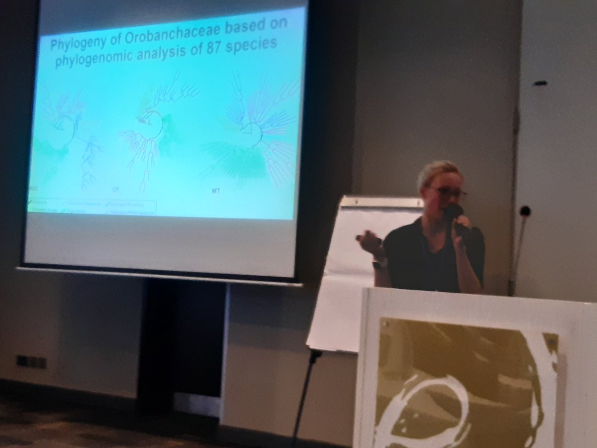 HarroBouwmeest1's tweet photo. @susann_wicke discussing phylogeny of exciting parasitic Orobanchaceae at #wcpp2022 https://t.co/5kELNhTUhq