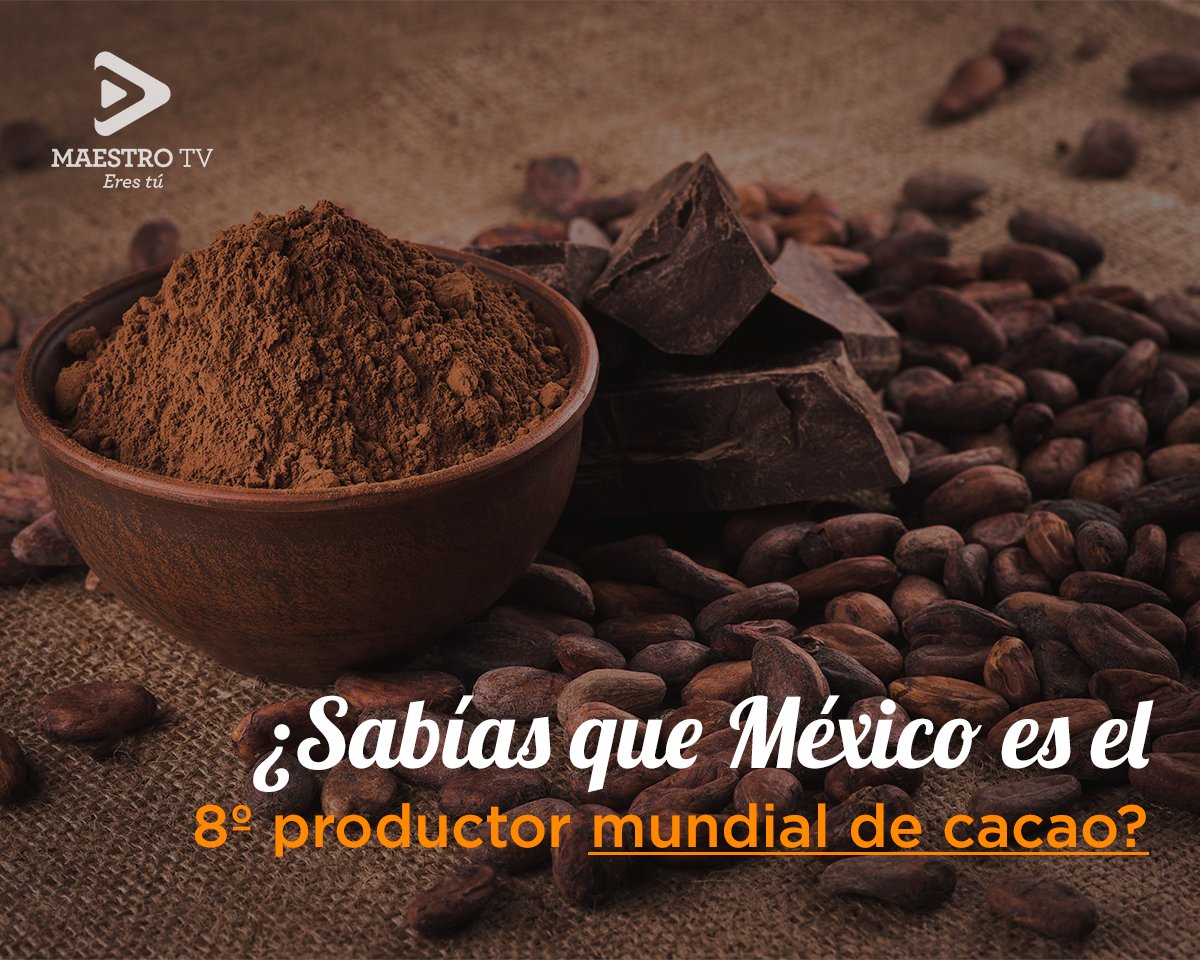 México tiene el 8º lugar de producción de cacao en el mundo con cerca de 28 mil toneladas anuales. ¿Dónde están los amantes del chocolate?🙋‍♂️✨
¡Festejemos el día con un delicioso chocolate mexicano!🇲🇽🍫
#MaestroTV