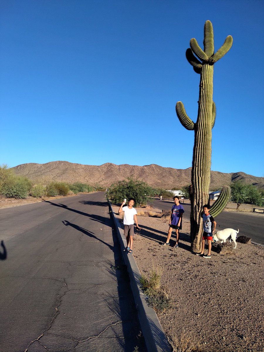 GabbyFortyTwo's tweet photo. Eloy, Az. on to Escondido CA today! 103 in AZ today! #StepnAcrossAmerica, #Stepn https://t.co/nEuqW772Hr
