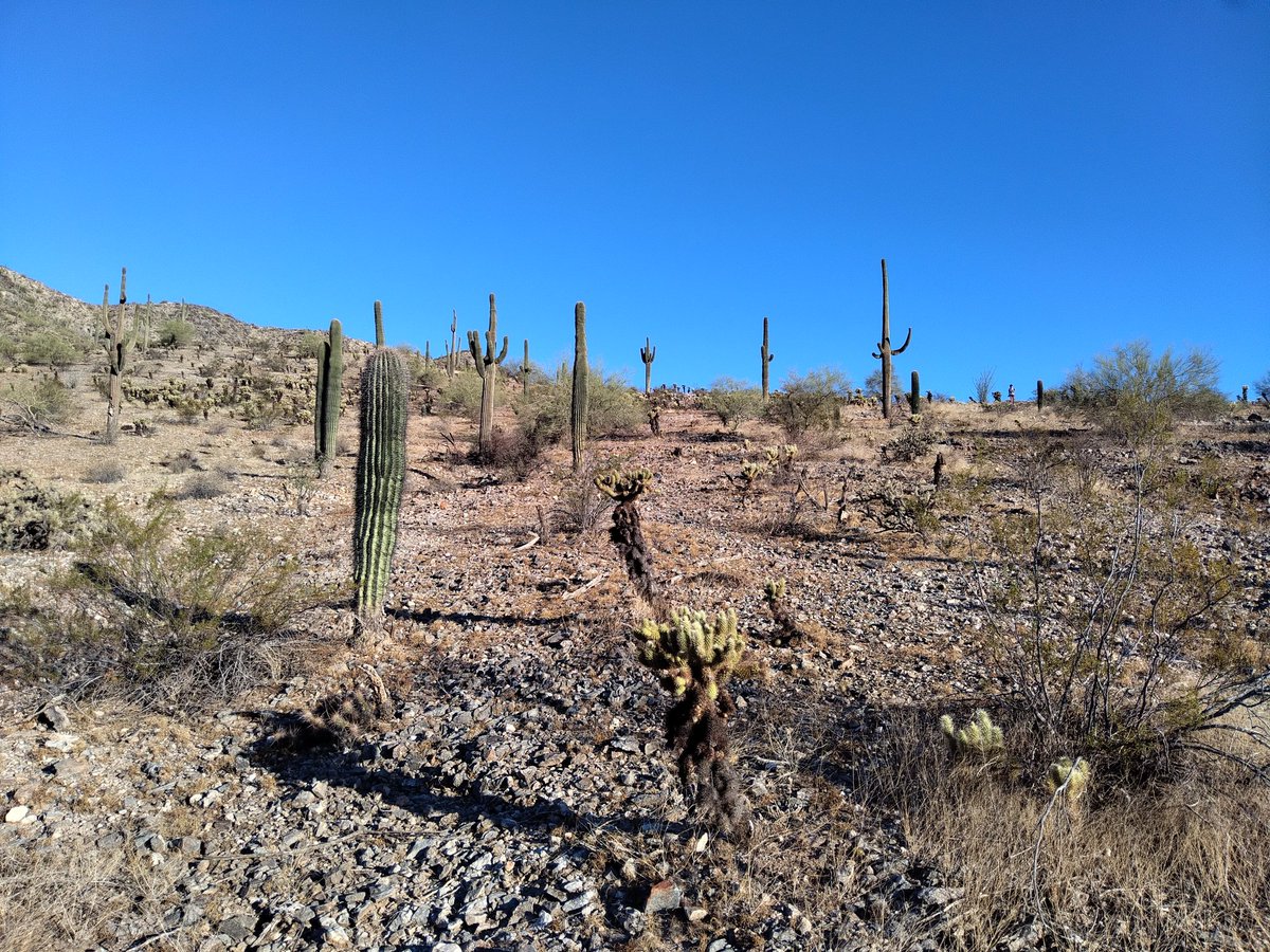GabbyFortyTwo's tweet photo. Eloy, Az. on to Escondido CA today! 103 in AZ today! #StepnAcrossAmerica, #Stepn https://t.co/nEuqW772Hr