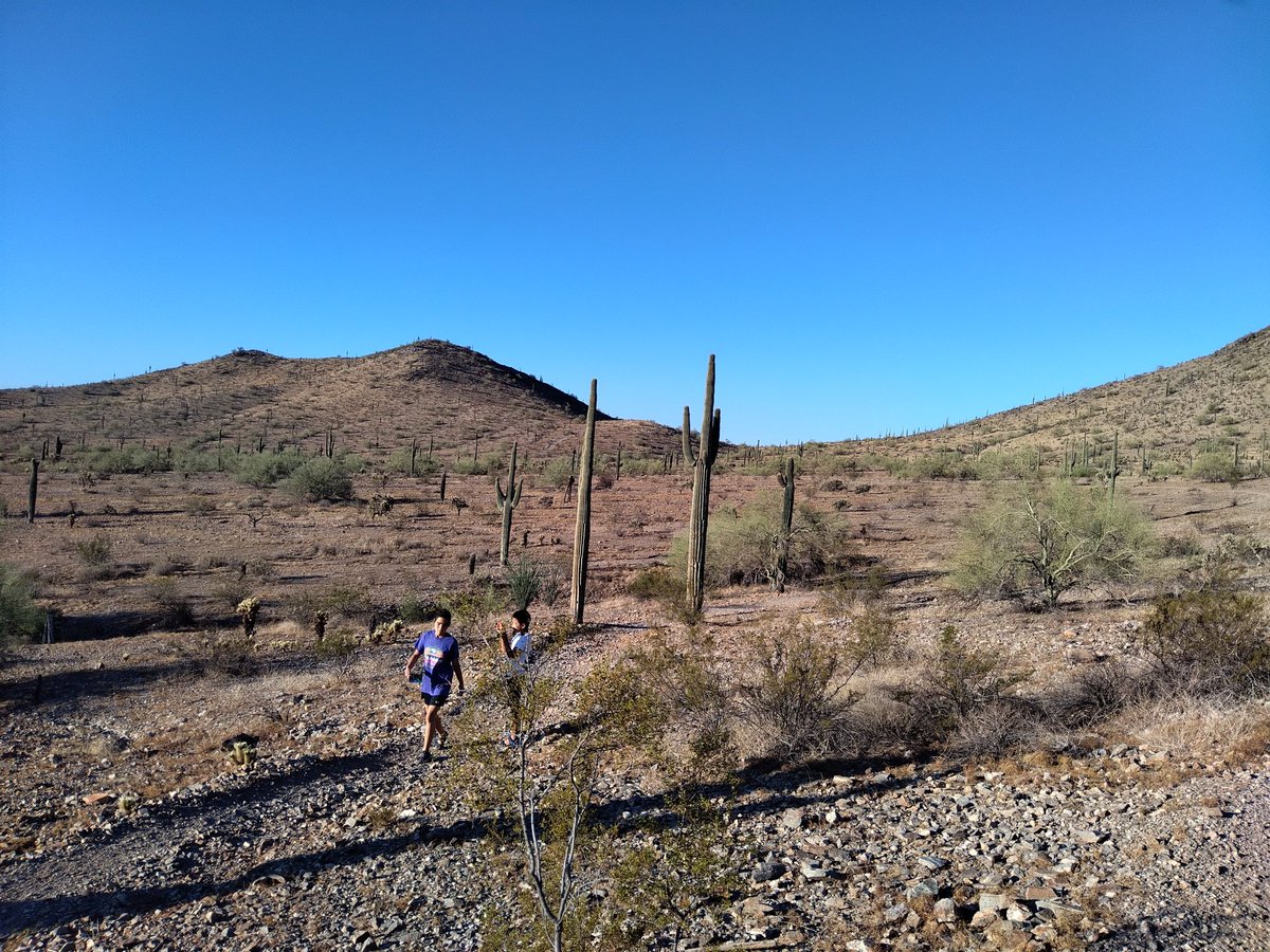GabbyFortyTwo's tweet photo. Eloy, Az. on to Escondido CA today! 103 in AZ today! #StepnAcrossAmerica, #Stepn https://t.co/nEuqW772Hr