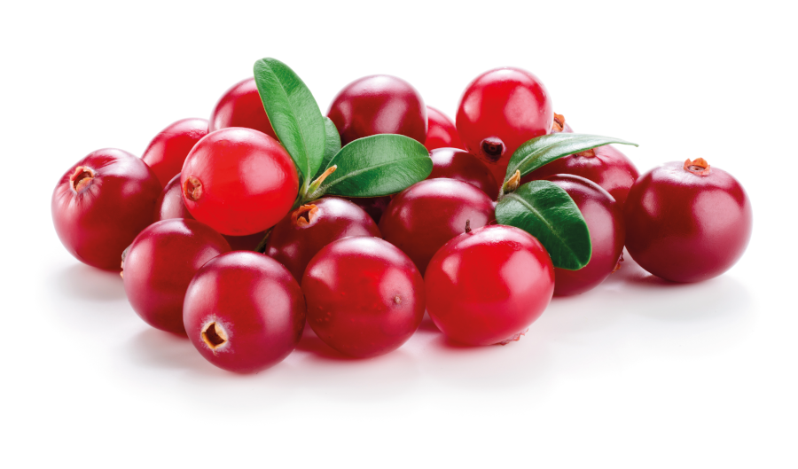 YHLMag's tweet photo. More nutrition - simply adding cranberries to your diet could help improve memory and brain function, and lower “bad” cholesterol:
https://t.co/z0KYC5BCOr
_
#healthnews #braincare #memoryboosters #nutrition #cholesterol #YHLmag https://t.co/Z1Baf5fK5h