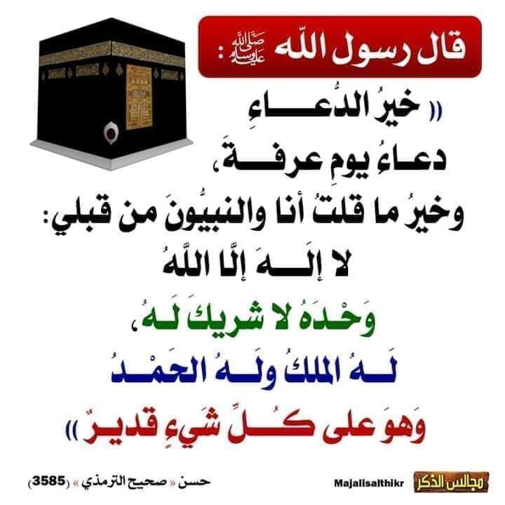 aboomohmd1's tweet photo. فضل الدعاء في يوم عرفة https://t.co/67KMmUrN68