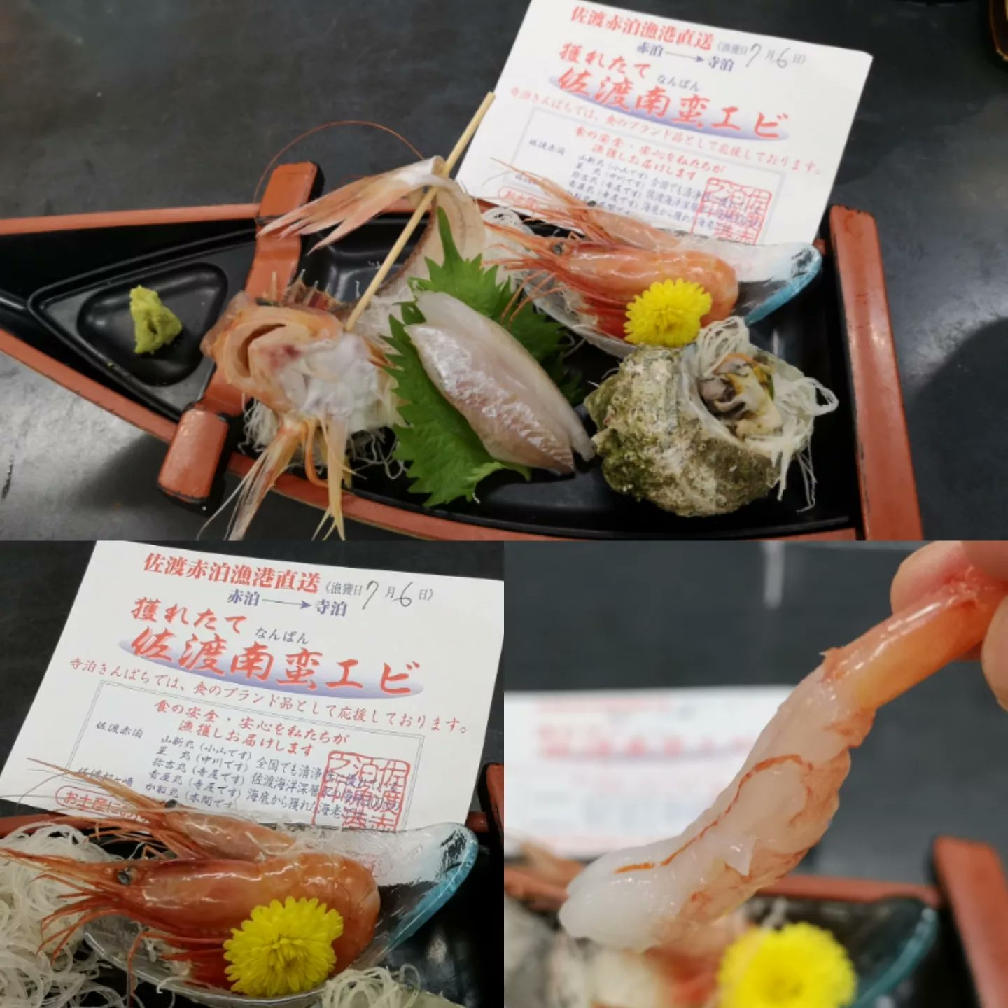 きんぱち Twitter