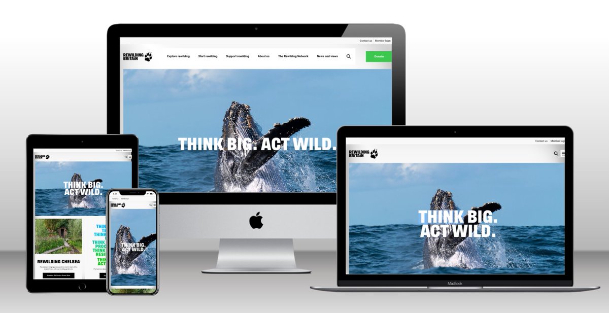 RewildingB's tweet photo. Can you help us with our website improvement project? We're looking for a supplier who can assist with copywriting, editing, uploading content, and testing new functionality, for up to six months from September 2022. 👉 Apply by 24 July at https://t.co/XojFUY1Jel https://t.co/LS0VcBBNXL