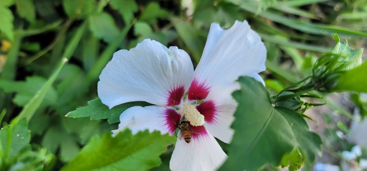 UnityLilac's tweet image. 