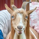 Photo by Allaire Community Farm (@AllaireCommFarm)