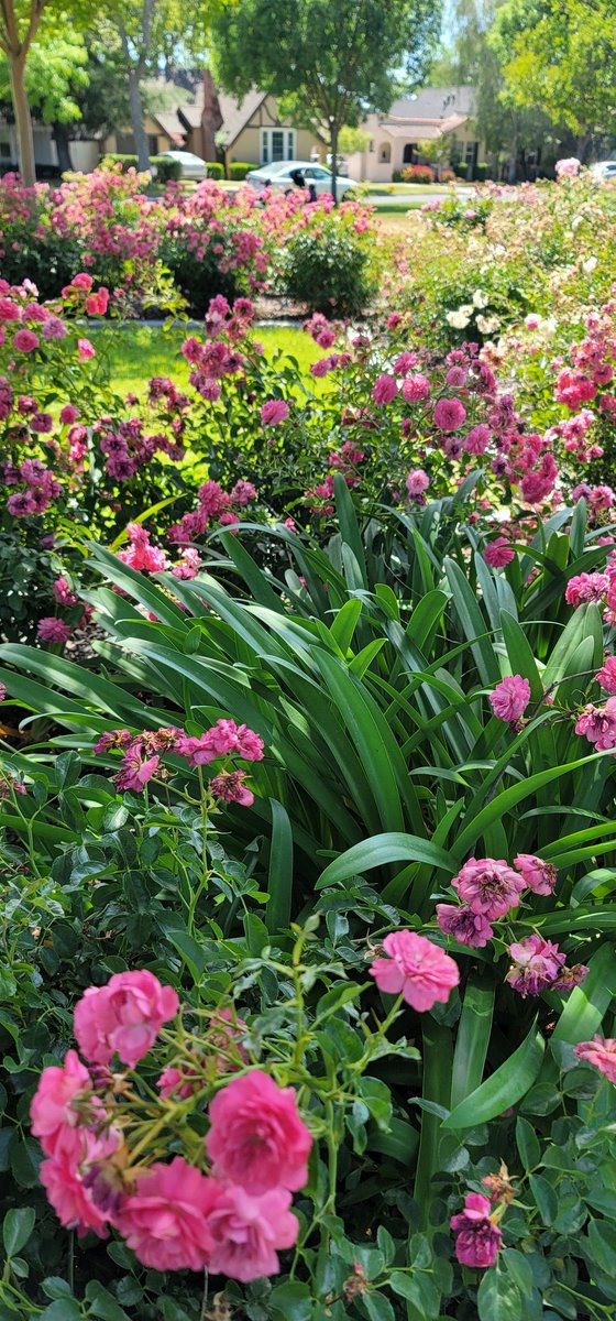 UnityLilac's tweet image. 