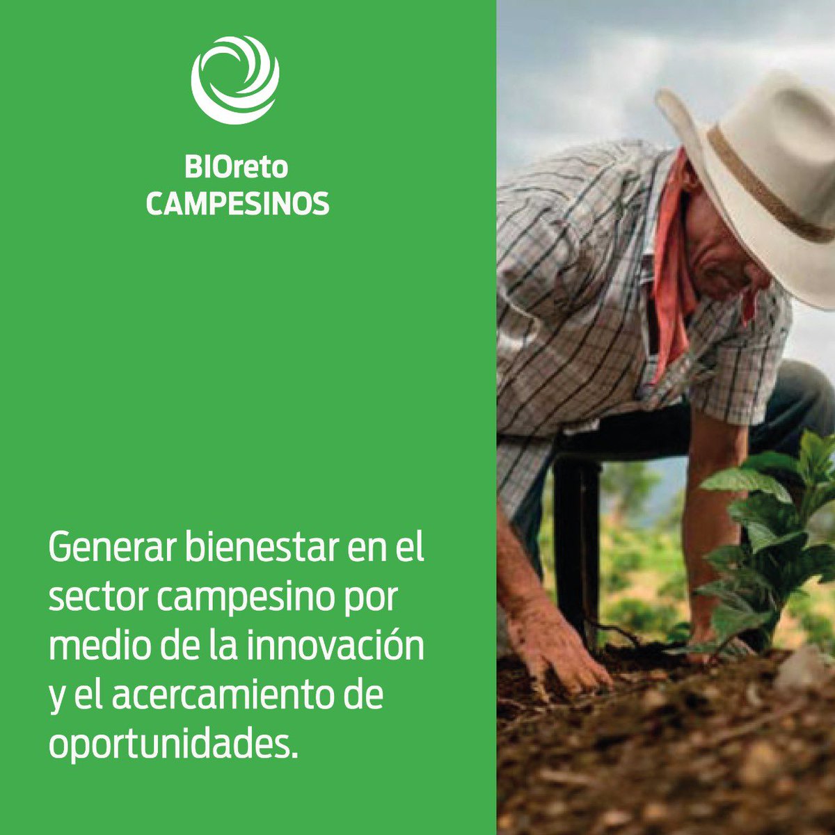 biotankers's tweet photo. #EsPreocupante la desigualdad por la que ha sido lastimada la población campesina 👩🏽‍🌾👨🏼‍🌾  Los campesinos y campesinas son en esencia el núcleo de cualquier país, desde BIOtank con nuestro BIOreto #3 🌎 queremos ⬇️⬇️

#campesinos #oportunidades #cosecha #productora https://t.co/9luRQXtLlv