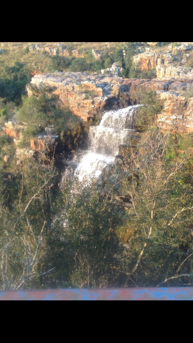 Kingsindicator's tweet image. Views from📈📈