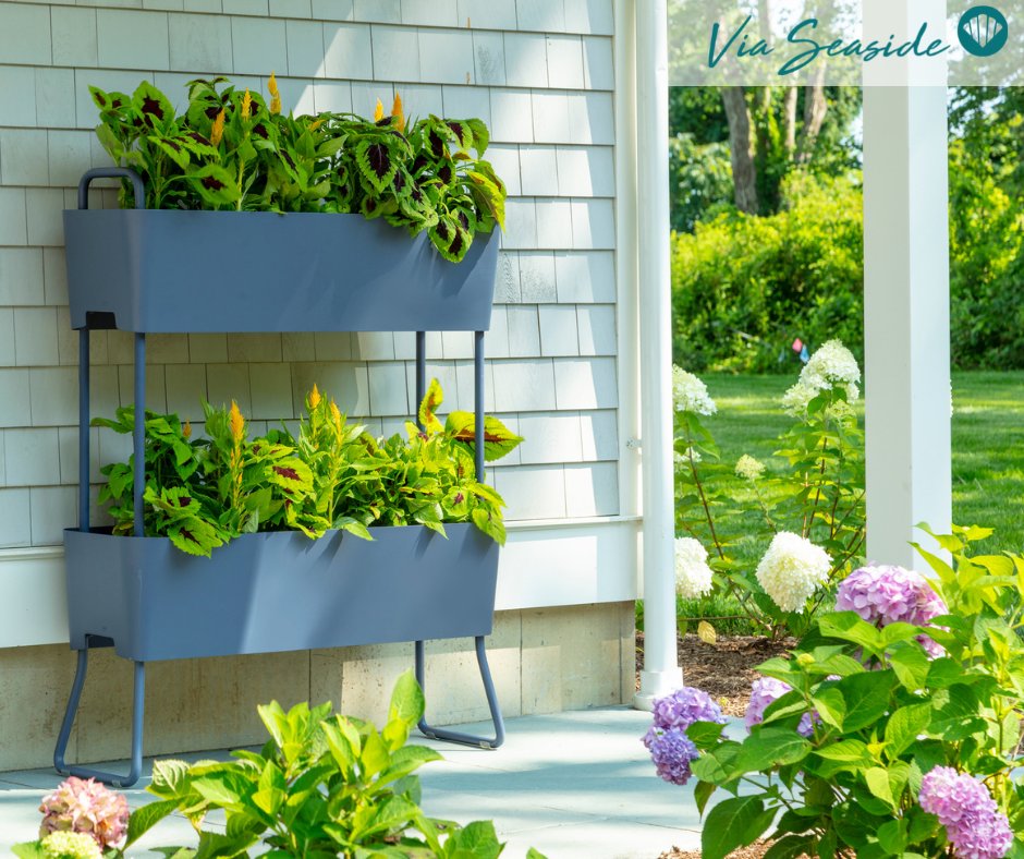 Seaside_Casual's tweet photo. #ViaSeaside introduces the new Greens Collection from Maiori Design! This simple drip collection allows water to flow from the top to the bottom, making it ideal for any space! #Newfor2023 #outdoordesign #outdoorliving #Greens #sustainableproduct #verticalgarden #outdoorfurniture https://t.co/tPEYhuNvow