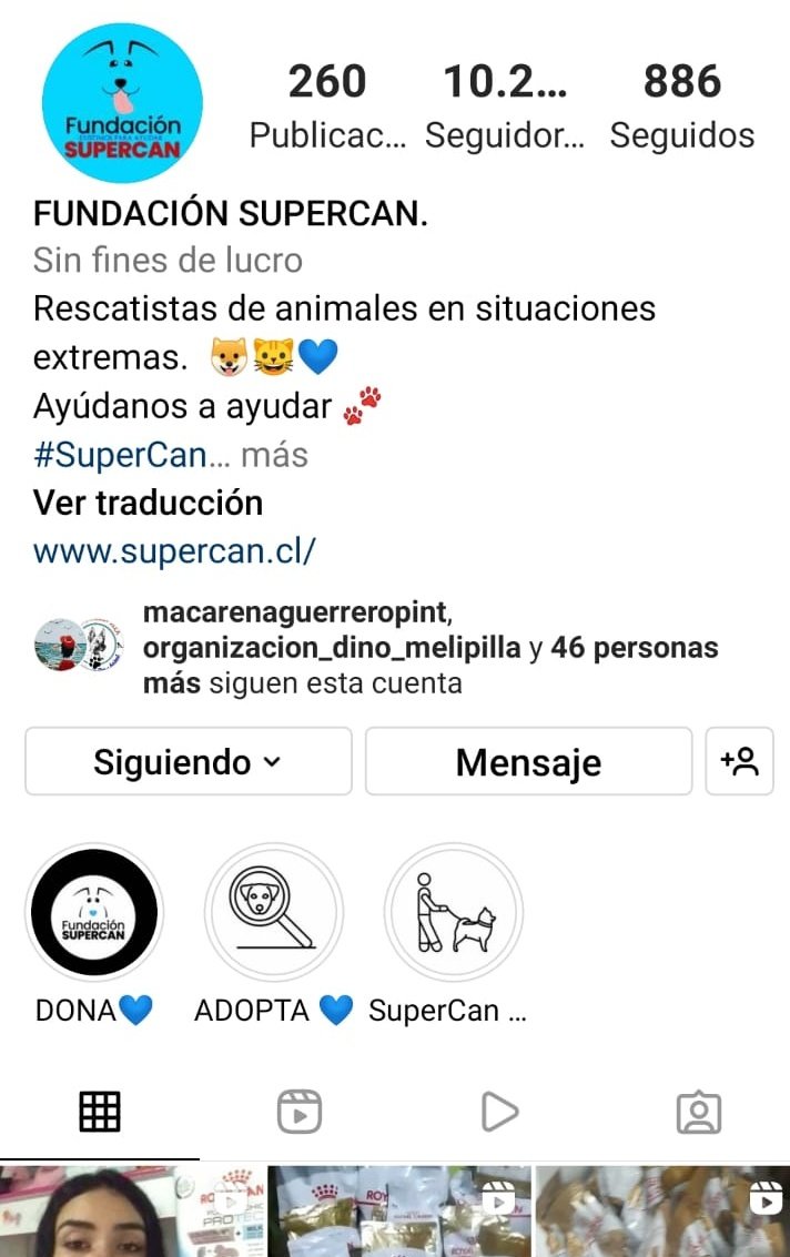 Kristian_Mella's tweet photo. 500 KILOS MÁS DE ALIMENTO...

Otro empresario anónimo nos hace ofrecimiento...

Sí Fundación SuperCan en Instagram logra los 15.000 seguidores de aquí al viernes, nos donara 500 kilos de Pellet 😮

Los invito a seguirnos en IG y ayudarnos a ayudar 👇

 https://t.co/dDKqYVEKCA https://t.co/OmGXEemJLg