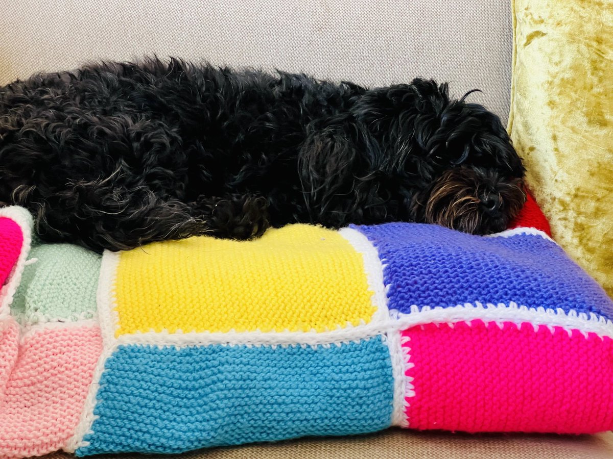 OttHuys's tweet photo. Onze #clienten van de #dagbesteding voor ouderen maakten met elkaar deze mooie lappendeken ❤️
Maar je kan er ook lekker op liggen 🐶

#dagbesteding #ouderen #ZorgEnDoen https://t.co/URawN57nu1