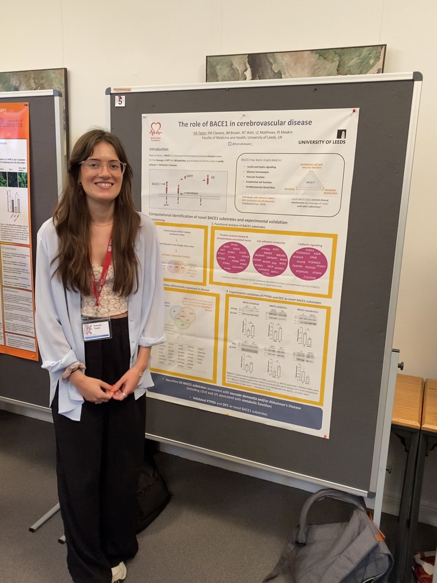hannahataylor_'s tweet photo. First day at the joint #GfMVB and #BMVBS Berlin 2022 conference! So many interesting #vascular biology talks and posters, and enjoyed discussing my project on #BACE1 in #endothelialcells #dementia and #diabetes @BMVBSoc https://t.co/OeJum0kXZa