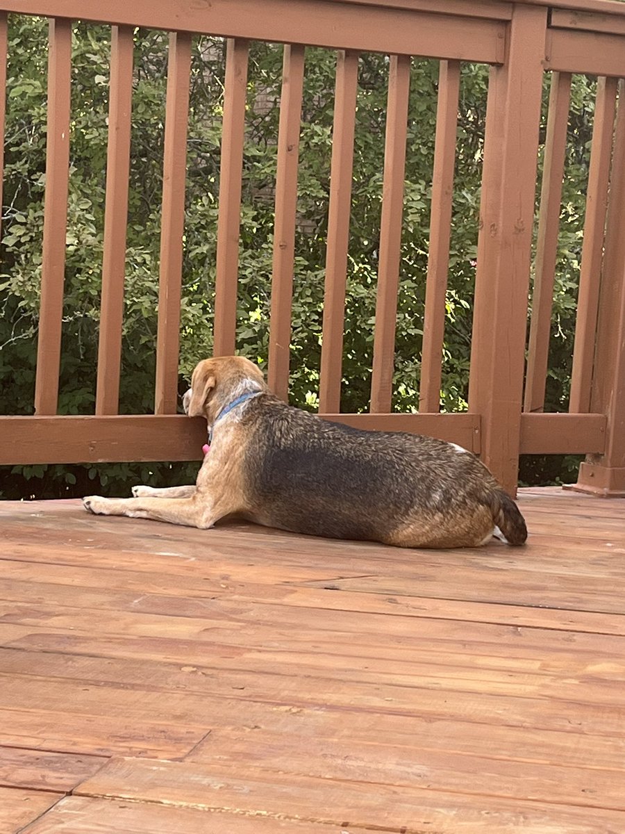 That post-daycare relaxation lasts a couple days 🤩