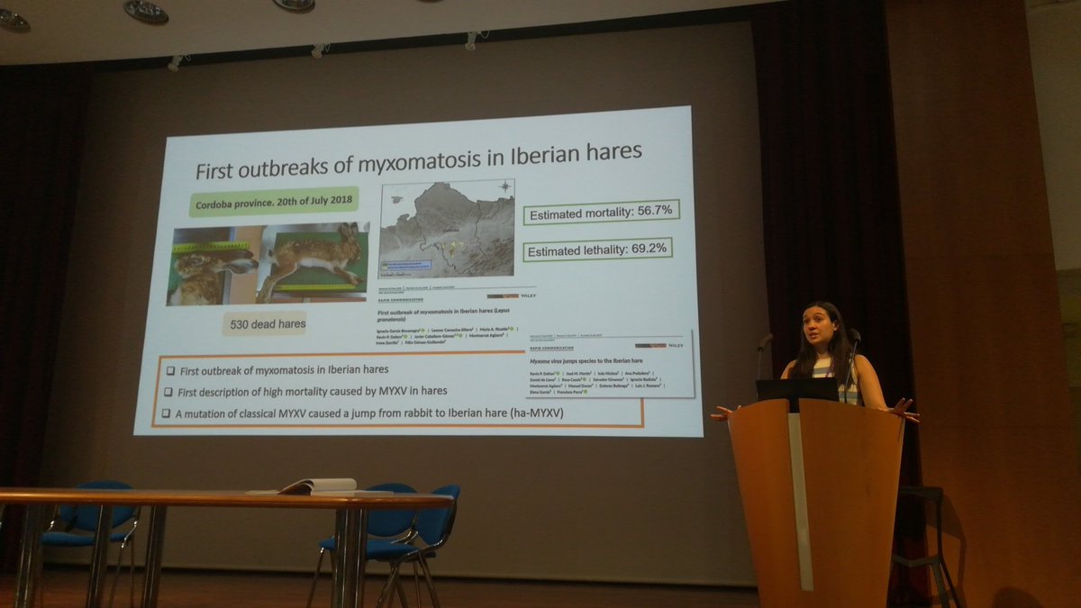 GSouchay's tweet photo. And now Beatriz #Cardoso about #surveillance of #myxoma virus in #ibarian #hare #WLC6 https://t.co/ZkdtThJ2Uv