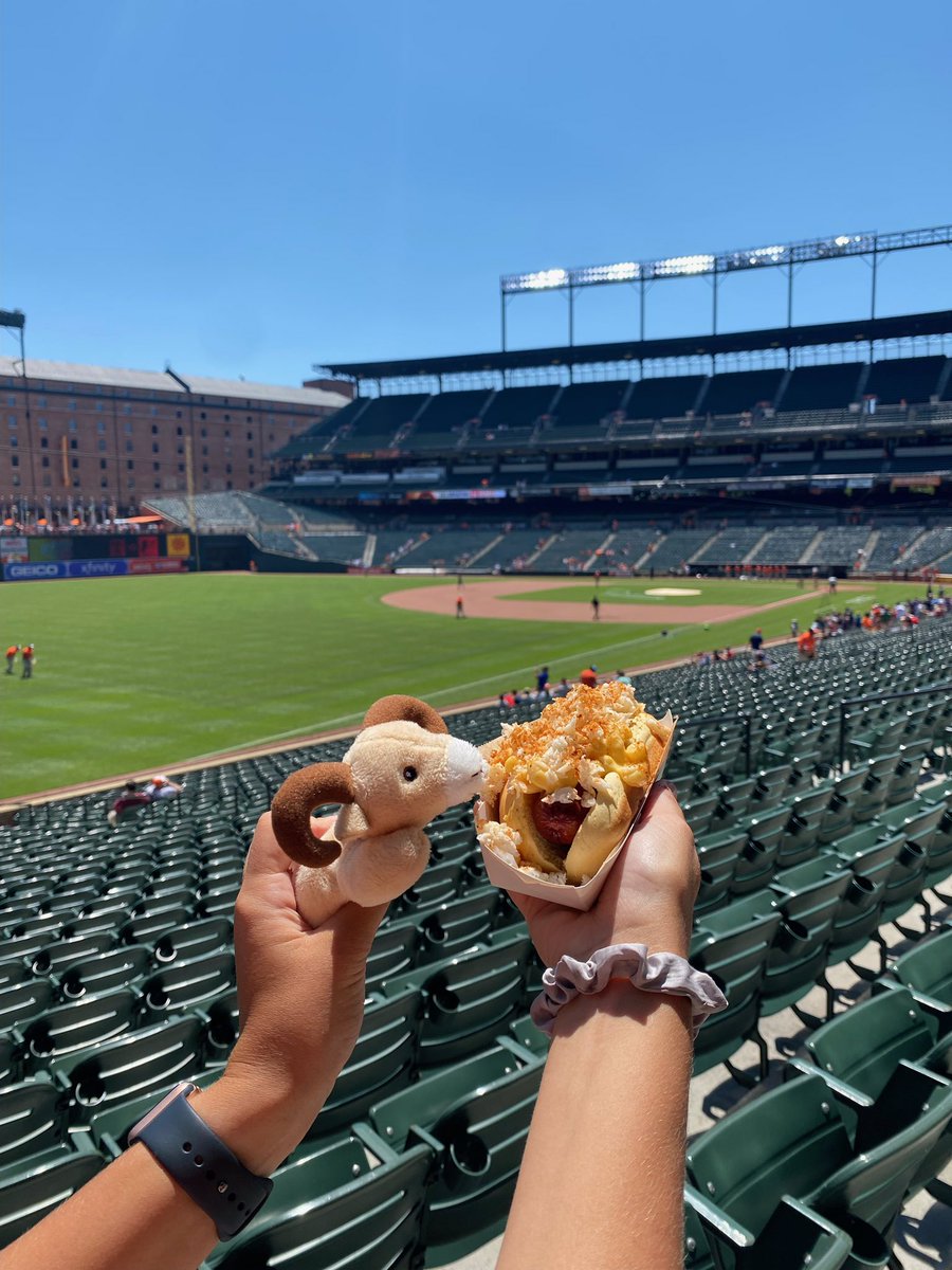 Ronnie the Ram enjoying a Baltimore Orioles baseball game  Best view #GoOrioles #CRESCulture <a href="/centreridgees/">Centre Ridge Rams</a>