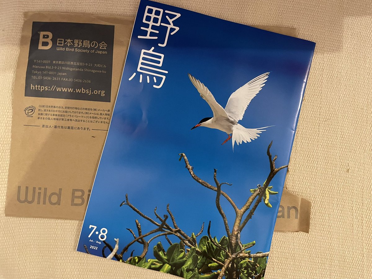 最大52%オフ! 日本野鳥の会会長様専用 agapeeurope.org
