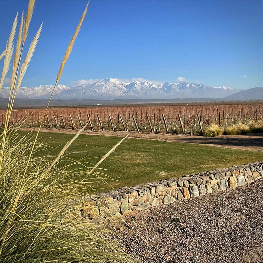 Nuestra bodega está rodeada por viñedos en un escenario único de Agrelo a los pies de la Cordillera.

#PulentaEstate #wines #LujanDeCuyo #Mendoza #CordilleradelosAndes #Montaña