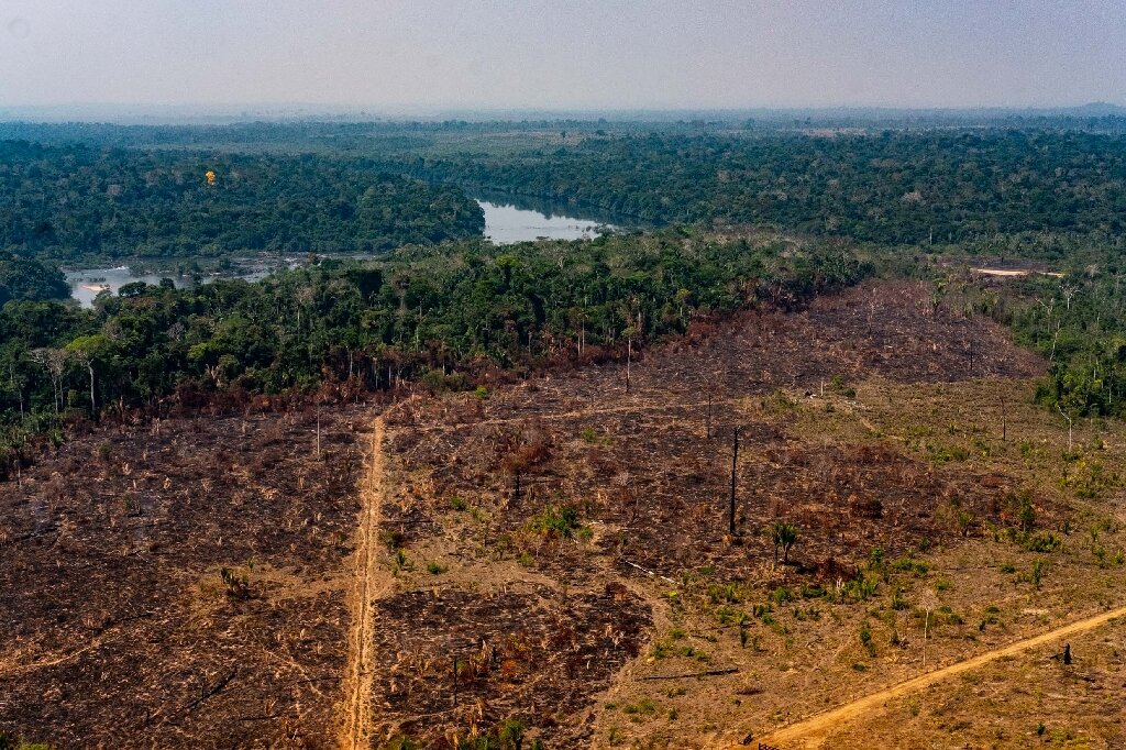 EarthKeeper22's tweet photo. There are places I remember
Though some have changed
Some forever, not for better
Some have gone &amp; some remain... Lennon &amp; McCartney

Amazon Rainforest: Then/Now

@GeraldKutney @KaraJarina #GlobalWarming #deforestation #ClimateAction #Ecosystem #Life #EarthKeepersUnite https://t.co/3Wo6sP8uq2