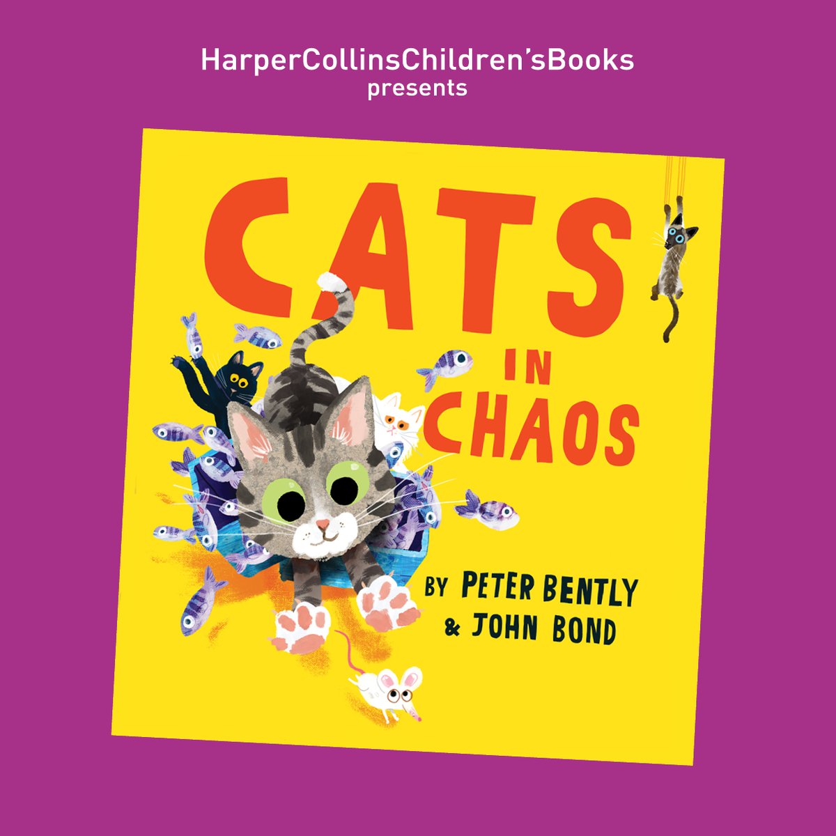 HarperCollinsCh's tweet photo. The creators of #DogsInDisguise, @PeterBently &amp; @iamjohnbond, present a PURRFECT new picture book: Cats In Chaos! Visit Catsby’s Great Circus and discover all the crazy things cats get up to when their owners aren't looking🐱 https://t.co/KwSM0wT04r