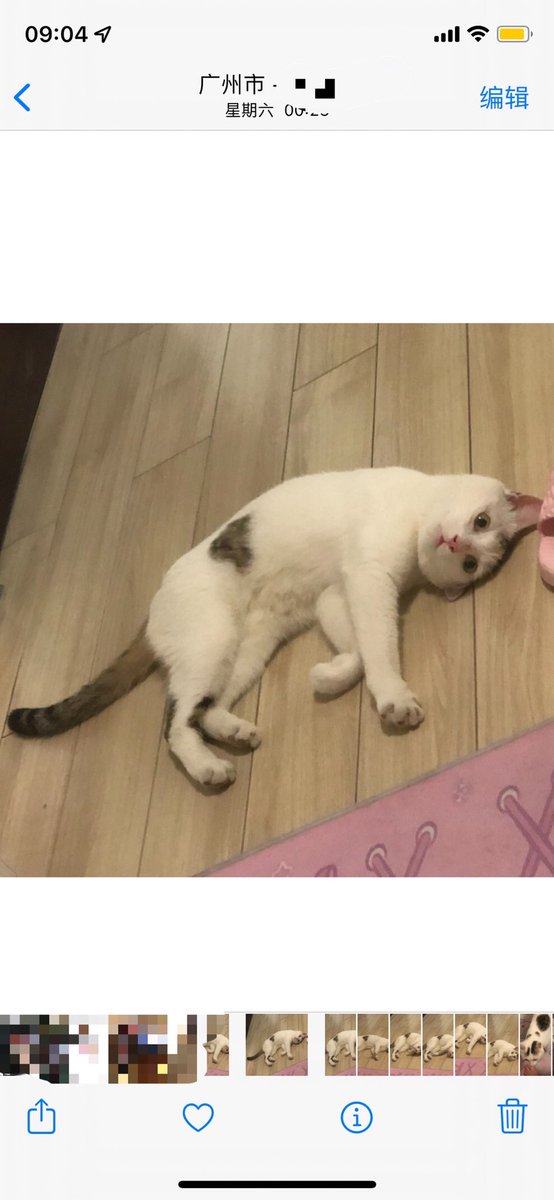 姐姐真的很想你咪贝贝🥺😭😭🥲 https://t.co/2aNArPRAPN