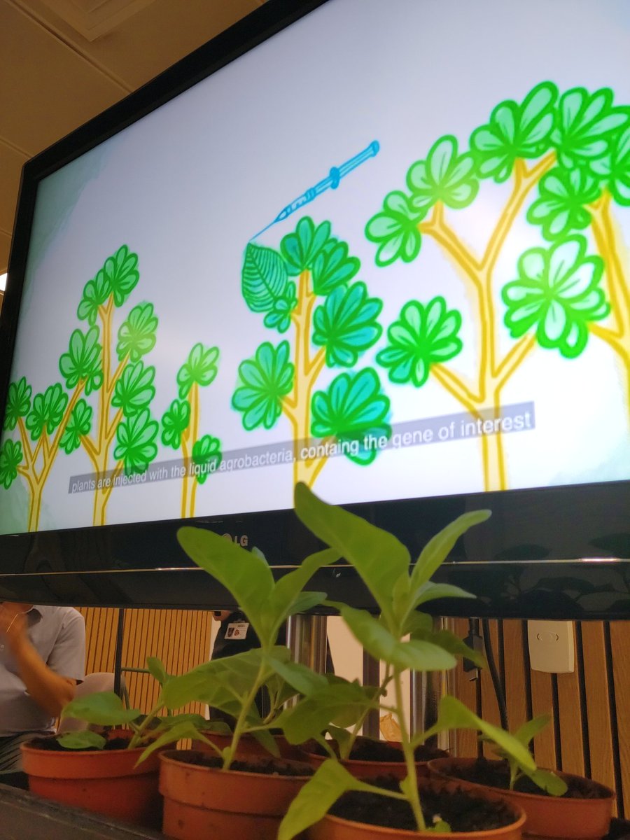 Pharma Factory tweet media