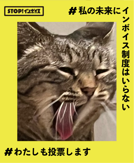 #私の未来にインボイス制度はいらない 