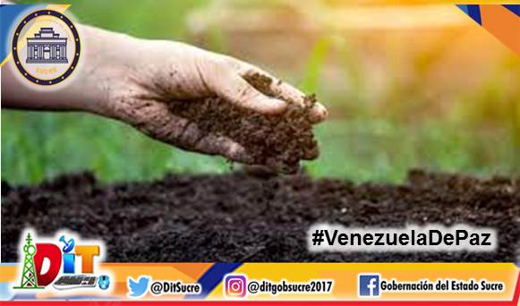 #DatoCurioso💡| Sabías qué los suelos son fundamentales para cultivar y producir alimentos, fibras, combustibles o productos medicinales, además, el 95% de los alimentos viene de estos terrenos cultivables.

#VenezuelaDePaz