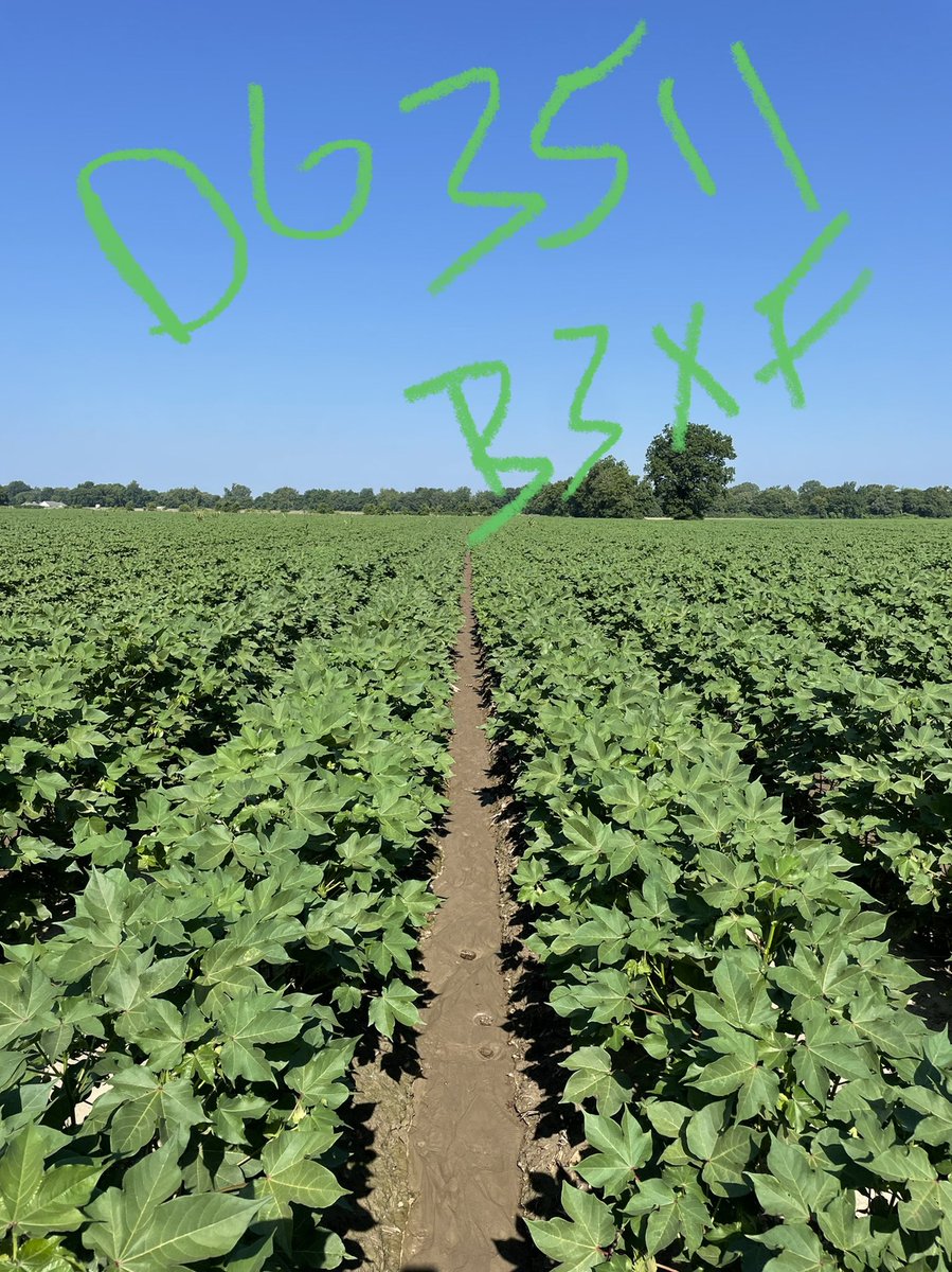 Nick Crouch tweet media