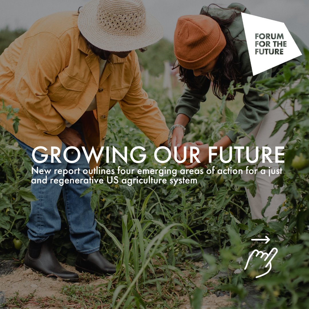 New report calls on #agriculture system stakeholders to work across silos and prioritize social equity to create a just and regenerative US agriculture system that supports equitable economic prosperity, allowing people and planet to flourish long term. forumforthefuture.org/scaling-regene…
