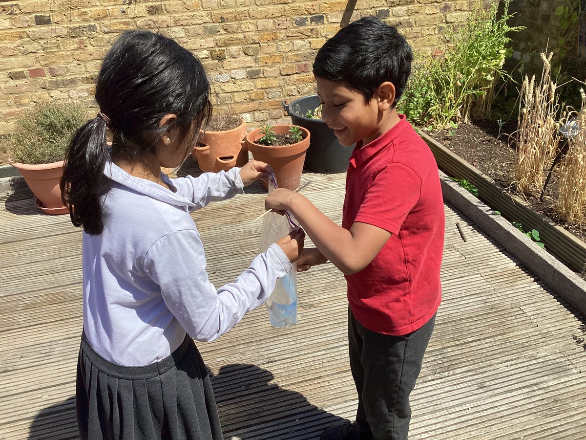 MayflowerSch's tweet photo. Did you know you can put a skewer through a bag of water without it leaking? 💧#ofil found out for our English hook this week! #storytelling #ks1 #science https://t.co/kcYIEKFBtI