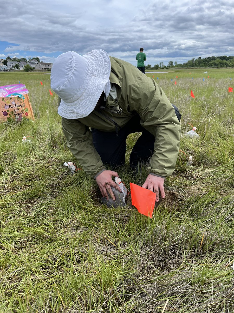 I’m familiar with the LITTERature, but I’ve never buried tea bags myself. Can’t wait to see the results of our degradation experiment! Super thankful to everyone who helped out, though we missed you <a href="/sacrebluecarbon/">Dr. Mackenzie Fiss-Nealley</a>!