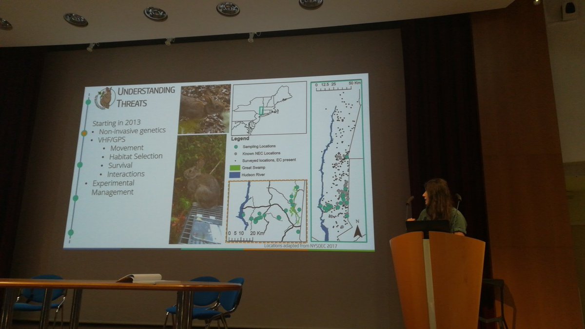 GSouchay's tweet photo. Back to the ๐บ๐ธ with @AECheeseman, talking about Eastern #cottontail #rabbit, multidisciplinary approach, multiple threats and recovery ๐ค
#WLC6 https://t.co/n55qsHDjzX