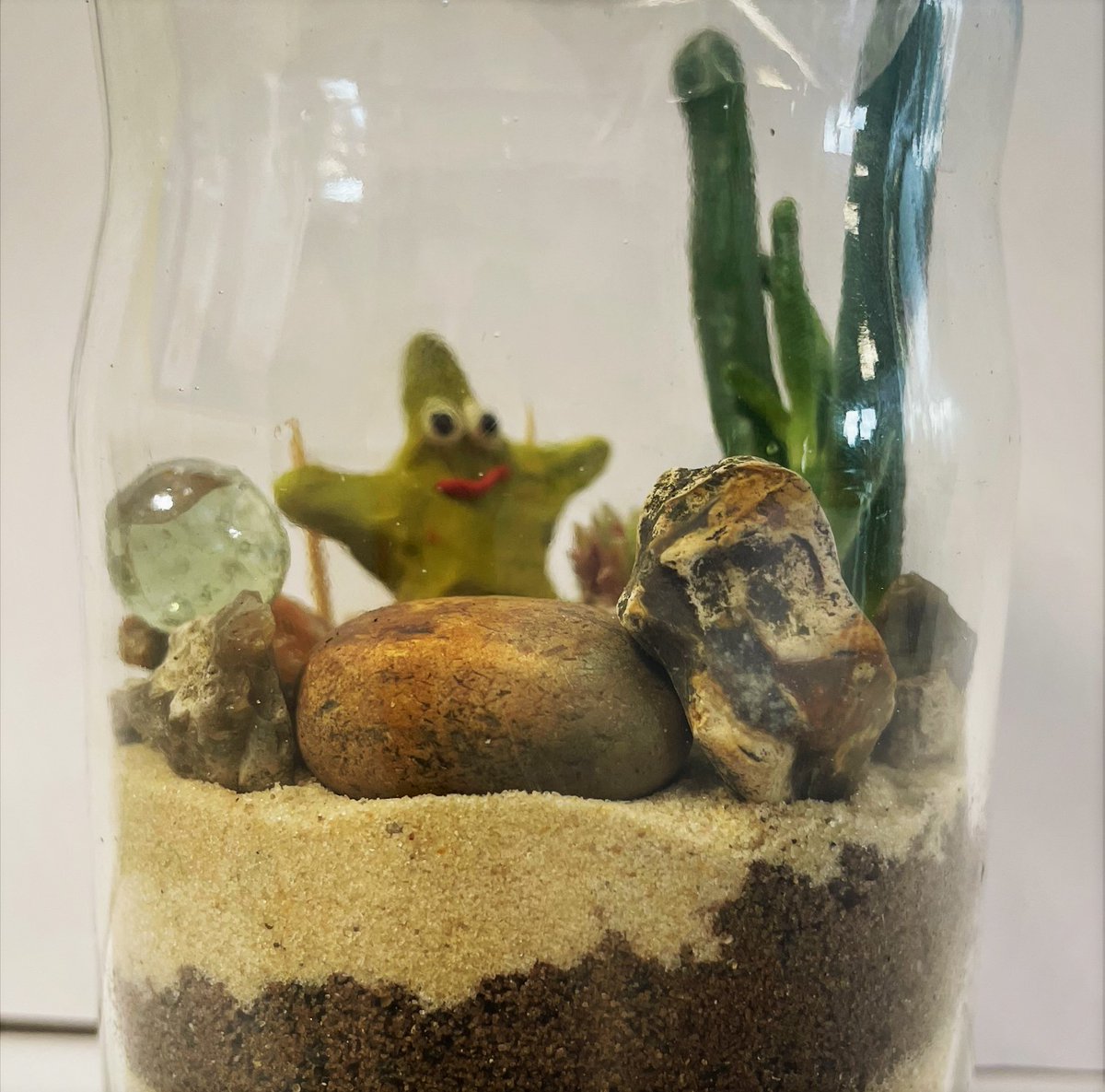 TheWestleighSch's tweet photo. Year 8 have been creating their own mini ecosystems. Some great work here, well done 👏👏👏 https://t.co/Ve2EcoQ2kT