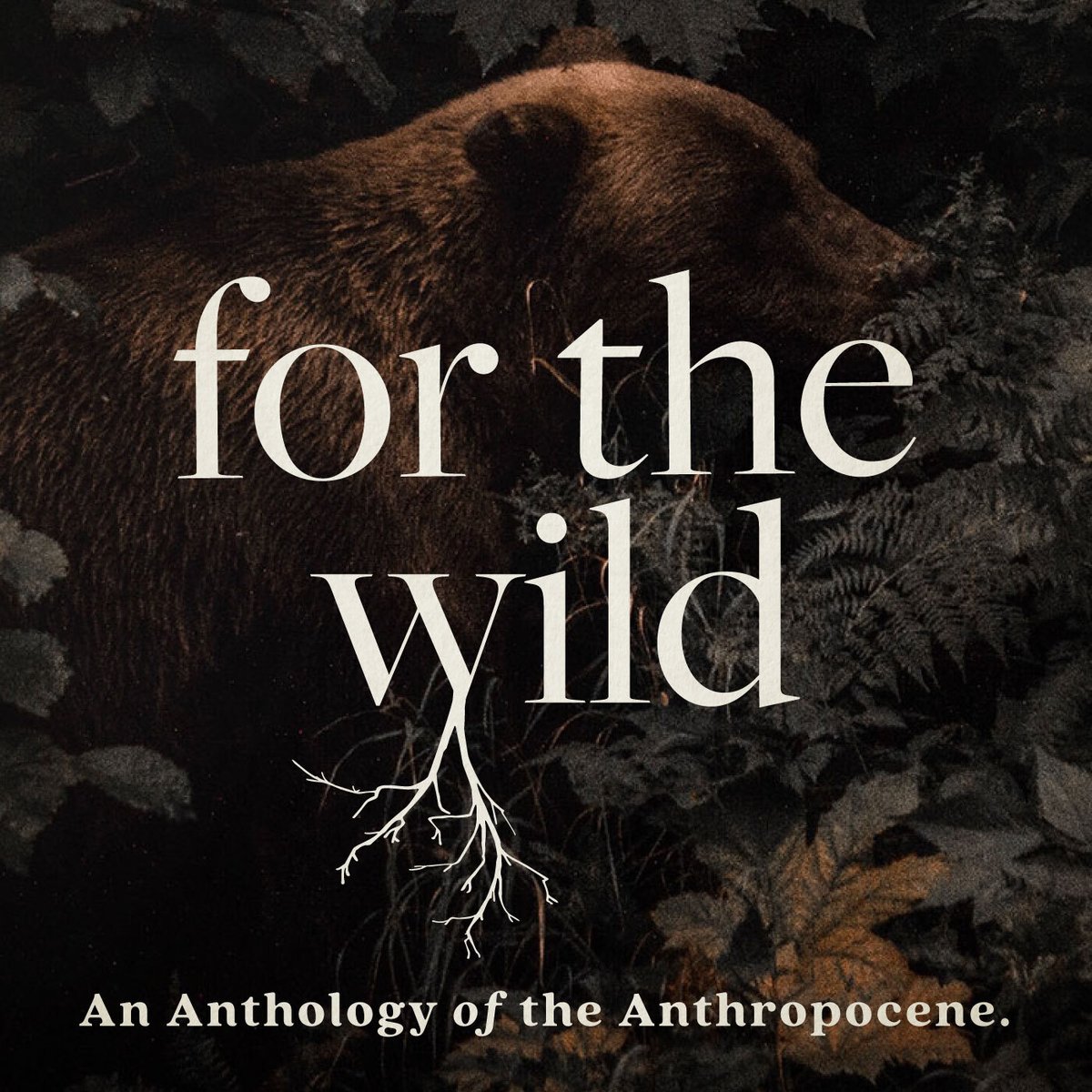 **Podcast Spotlight: For the Wild podcast, described as an anthology of the Anthropocene, is currently looking for sonic bids artists to be featured. They are especially looking to uplift the voices of the POC and LGBTQIA community. For more info: bit.ly/3yJE2ZL