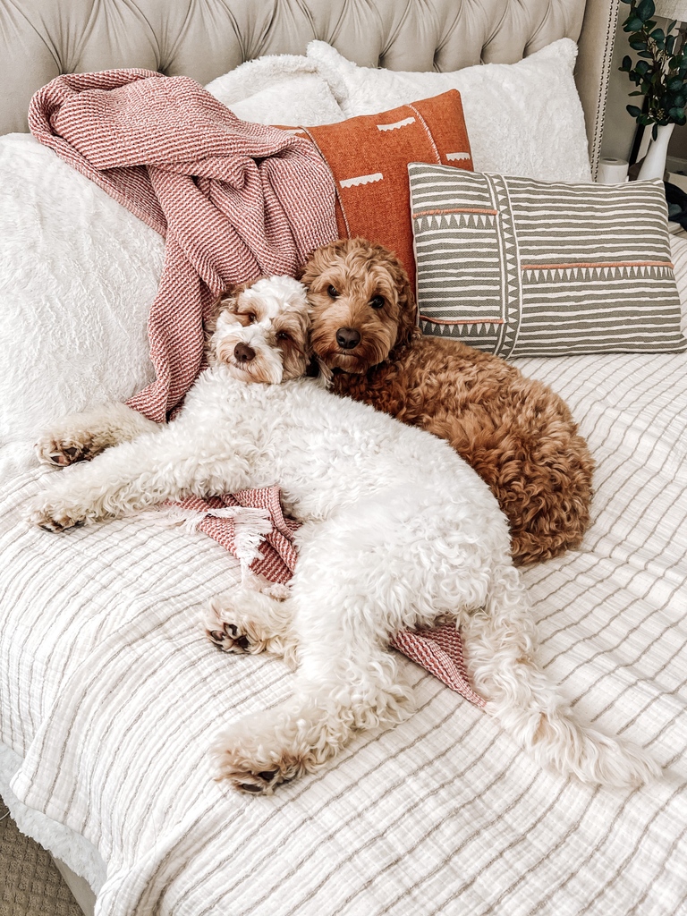 Allswell (@allswellhome) on Twitter photo This Organic Striped Coverlet and Stonewashed Cotton Throw are the comfiest things you’ll have on your bed. Er, ok...maybe the second comfiest.
📸: <a href="/copper/">cooper cooper</a>.and.lily
Shop: allswellhome.com This Organic Striped Coverlet and Stonewashed Cotton Throw are the comfiest things you’ll have on your bed. Er, ok...maybe the second comfiest.
📸: <a href="/copper/">cooper cooper</a>.and.lily
Shop: allswellhome.com