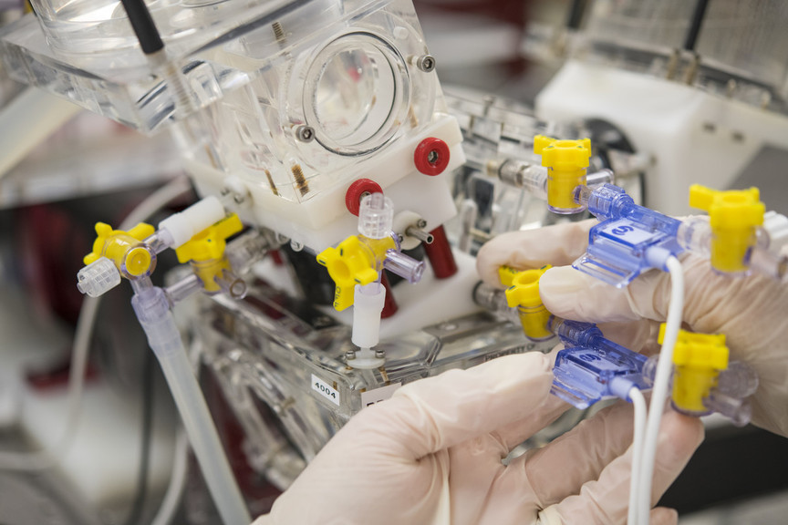 BCTradeInvest's tweet photo. DYK Metro #Vancouver has Canada’s number one #lifesciences #startup #ecosystem? Globally ranked institutions across B.C. are developing the next generation of forward-thinking life sciences talent. Read more: https://t.co/lQ8xwLv3n4
@lifesciences_bc @Invest_Van https://t.co/vBwqdc5jl2