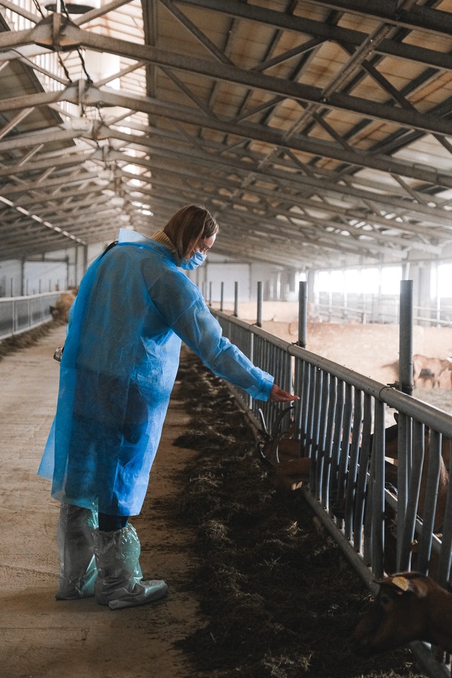 German participants were the most skeptical of antibiotic use in livestock while U.S. participants were the least. Respondents’ perceptions of the purpose of antibiotics illustrates the significant criticism of the livestock sector by participants: shorturl.at/bdRW9