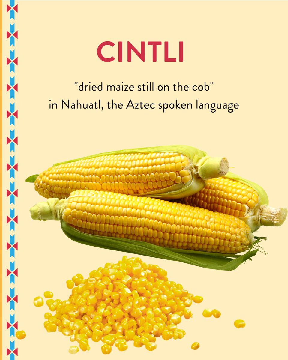 July is #NationalCornMonth. Indigenous ppls of the Americas have a long history & relationship with this special plant. 🌽

What is the Indigenous word for corn in your language?

#corn #summer #IndigenousFoods #TraditionalFoodways #FoodSovereignty