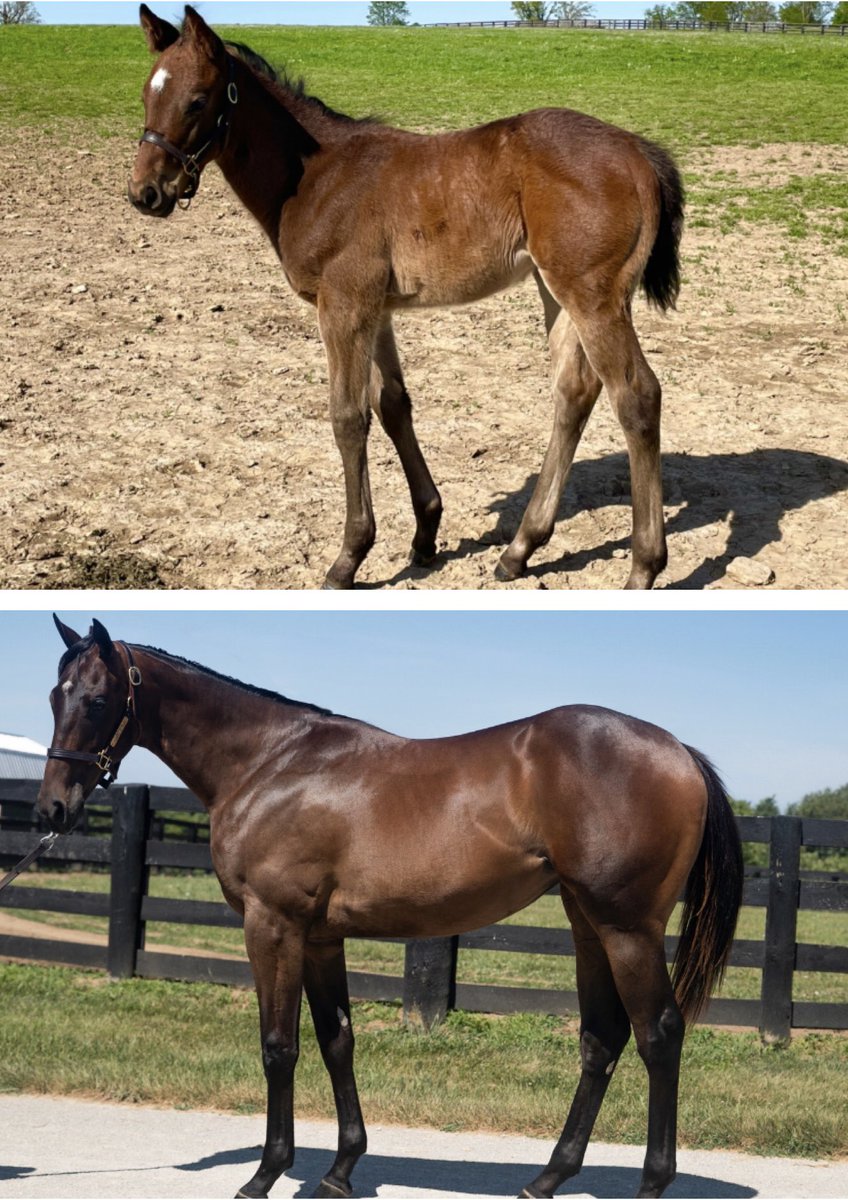 Wynnstay tweet media