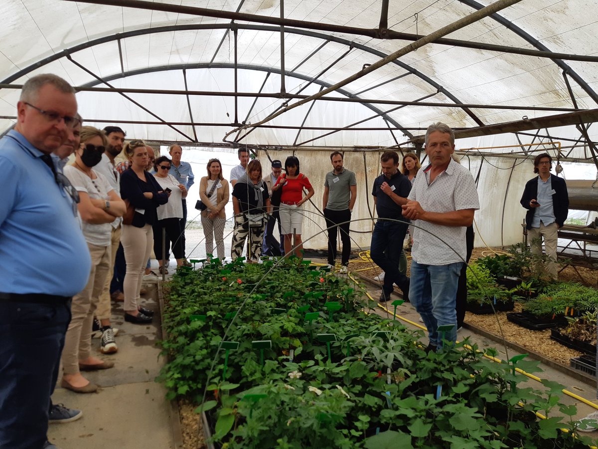 FleurRemery's tweet photo. Suite de la journée chez #Hortival diffusion. Visite, présentation de l'entreprise et de la marque silence ça pousse. "Nous souhaitons rendre le jardin accessible à tous" indique Michel NICOU, Directeur général. https://t.co/p64fY1pjoY