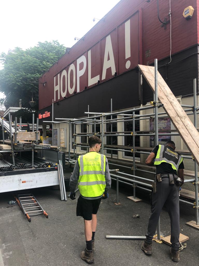 CIDERDOG FESTIVAL tweet media