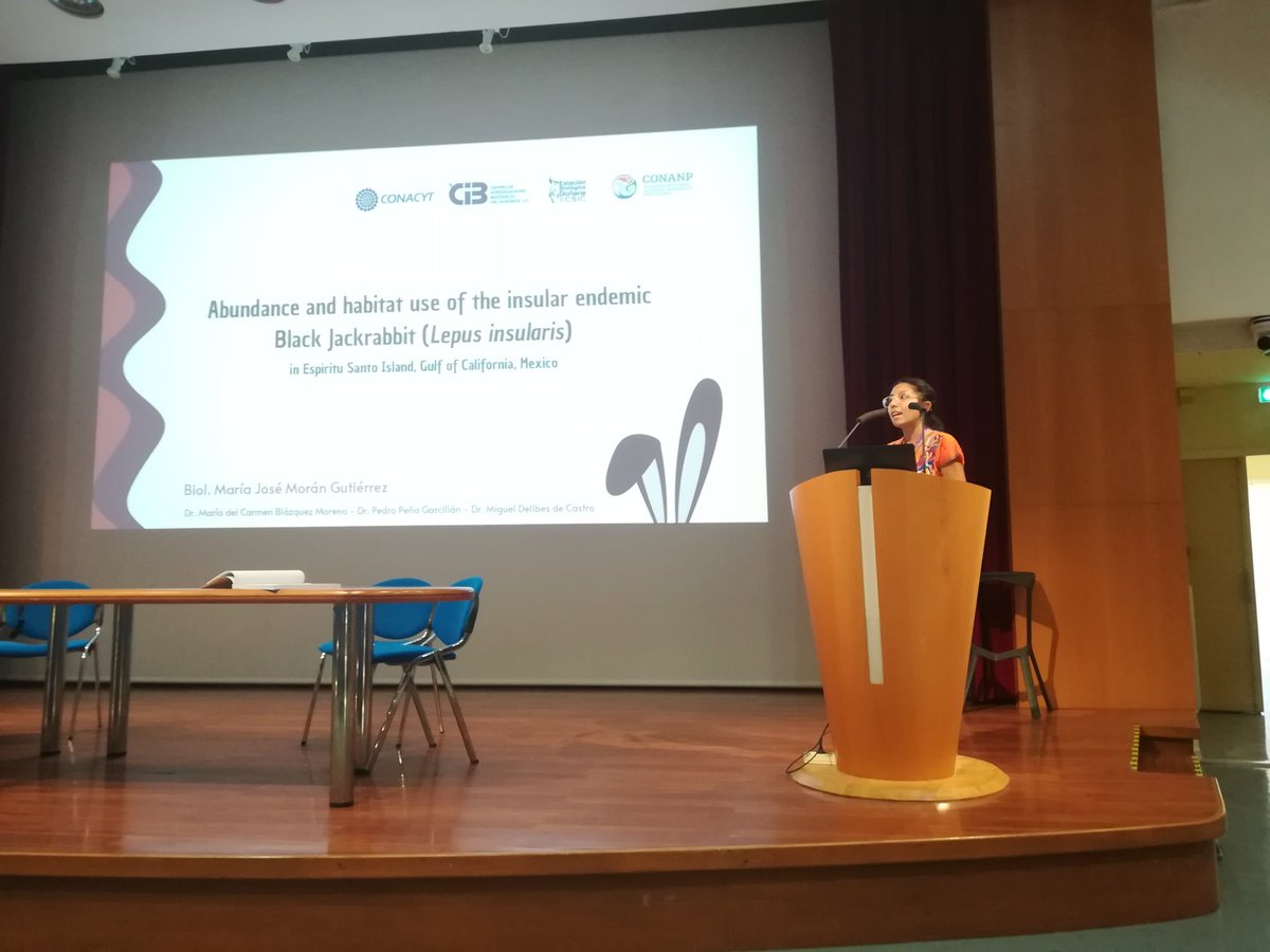 GSouchay's tweet photo. And our last talk will be about black #jackrabbit #hare in Esperitu Santo Island Mexico ๐ฒ๐ฝ by Maria Jose #MoranGuttierrez
#WLC6 https://t.co/XaUHwhJxJV