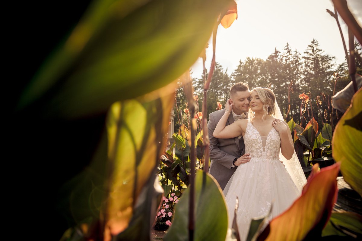 The Manor tweet media