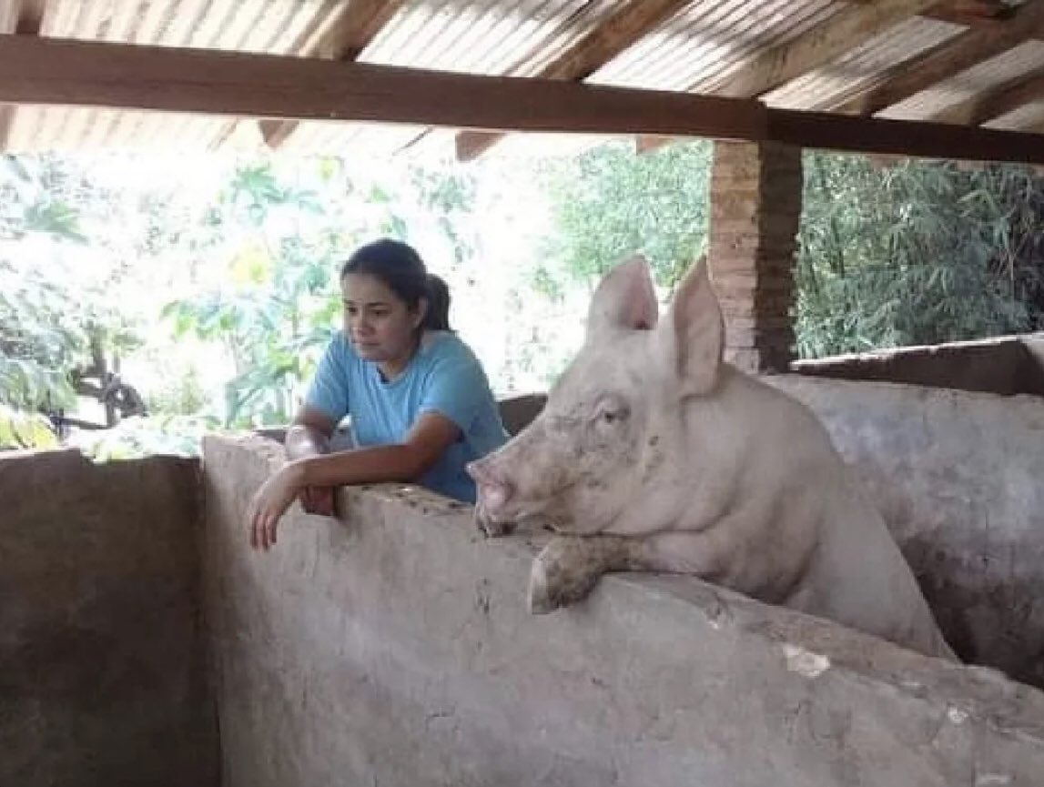 La gente de ciudad: que aburrido el campo, no tienen con quien hablar

Yo: