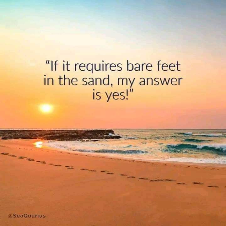 Lea 💚 tweet media