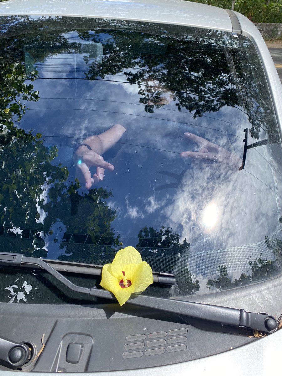guilhermemf01's tweet photo. Já no clima do setembro amarelo 🌼 #prayforwe https://t.co/iDXpV65NJS